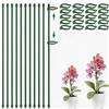 MUNUOSIKEJI Confezione da 10 picchetti di supporto per orchidee da 30 cm, robusti pali da giardino con 20 clip, regolabili per piante rampicanti, uso interno ed esterno