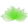 M METERXITY 200-Pack Foglie Scheletro, Foglie Pressate E Essiccate in Gomma Naturale con Venature per Resina/DIY Crafts Card/Scrapbook/Matrimonio, Foglie Decoraretive Piccole [4-6cm, Verde]