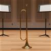 Corno da Banda Studentesca Dorato Ampio Calibro per Cerimonia, Studenti,