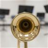 Corno da Banda Studentesca Dorato Ampio Calibro per Sfilata