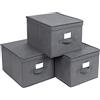 SONGMICS Scatole Portaoggetti Pieghevoli con Coperchi, 40 x 30 x 25 cm | Scatole per Armadio, Contenitori in Tessuto con Portaetichetta, Organizzatore, Set di 3, Grigio, Collezione TINA RFB03G