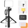 NEEWER BASICS Luce Video a Pannello LED da Scrivania, Kit Lampada Videoconferenza con Treppiede Tavolo/Filtri per Webcam Computer Laptop Zoom Call Trucco Registrazione Selfie Streaming, Bicolore, BP66
