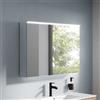 evineo ineo5 evo armadietto a specchio con illuminazione del lavabo La: 100 A: 70 P: 16 cm, 2 ante, BEA092MI+BEA096DE, ineo5 evo [Armadietti a Specchio > Armadietti a Specchio]