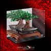 SHOWCASE LAB TECA IN PLEXIGLASS ACRILICO-SHOWCASE-TECA PER LEGO 10281 ALBERO BONSAI-LM53