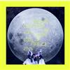 DVD Perfume Countdown Live 2023 2024 COD3 OF... Standard Edition Giapponese N...