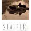 Ivc [Blu-Ray] Stalker Andrei Tarkovsky 162 minuti multicolore 0,24 libbre NUOVO