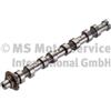 KOLBENSCHMIDT Albero a camme PEUGEOT CITROËN FORD 1,6 1,4 0801AH 1313805 DV6B