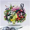 Mrs.GREEN APPLE 5 Standard Edition CD Greatest Hit OBI UPCH-20549 4988031386552