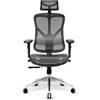 DIABLO V-Basic Sedia da ufficio Ergonomica Sedia Girevole con Supporto Lombare Integrato Braccioli 3D Poggiatesta Regolabile Funzione Dondolo Altezza Regolabile (Nero-Grigio)