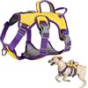 LiebeDD Pettorina Cane di Taglia Piccola Media, Regolabile Traspirante Comodo Pettorina Anti Tiro per Cani con 2 Antifuga Maniglie, per Corsa y Passeggiate, Giallo+Anello al Seno, M
