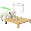 HA BIN Supporto Rialzato per Distributore Automatico Cibo Gatti in Legno Massello, Ciotola Gatto Rialzata Ergonomica, Riduce la Pressione sulla Colonna Vertebrale, Antiscivolo, 34,2×19,7×6,2 cm