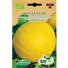 Germisem Biologico Centenar Semi di Zucca 2 g
