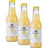 Moretti® Succo di Bergamotto 100% Puro di Calabria | Senza Zuccheri | Senza Conservanti | Il Rimedio Naturale per una Digestione Sana | Colesterolo Equilibrato | bottiglia da 200ml (Confezione da 3)