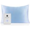 RUIPTSKE Federa per cuscino in seta naturale, ipoallergenica, 22 mamme, 100% seta, 600 fili, con cerniera nascosta, certificata OEKO-TEX (Light blue, 50x80cm)