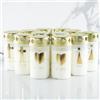 Hofer Friedlicht Set di 12 Candele a Forma di Fioriere Piccole - 46-54 Ore di Combustione - Con Coperchio e Motivo - Per Funebre