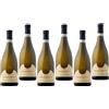 Pasetti Collecivetta 2025 Pecorino Dop 75 cl 6 Bottiglie