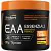 Etichsport Ethicsport Eaa Zero Carbo 300 Grammi Limone