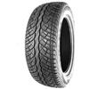 ANTARES 255/30 R22 95 W Antares Majoris M5