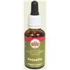BUSH BIOTHERAPIES PTY LTD Passion Love 30 Ml