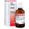 DR.RECKEWEG & CO. GMBH Reckeweg R60 Gocce 22 Ml