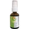 Olos System Integratore Luxsepsi Spray con propoli ed eucalipto, 30ml