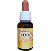 SYGNUM Srl LIPO 20 ML
