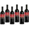 Giorgi Sangue Di Giuda Dell'Oltrepo Pavese 2025 Doc 75 cl 6 Bottiglie
