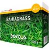 Bottos Sementi Paspalum notatum Bahiagrass Bottos 500gr prato rustico e chiaro