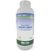 Bottos Ammendante organico Vigor Liquid 1Kg Bottos con acidi umici e fulvici per prato
