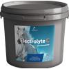 EQUALITY s.r.l. Electrolyte C 3 Kg