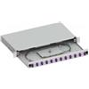 Techly Cassetto ottico Techly 19'' con 12 prese 24 cavi LC Duplex Multimode OM4 Grigio