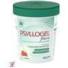GIULIANI SPA PSYLLOGEL FIBRA FRAGOLA VASO 170 G