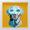 WD LifeStyle Cornice con Inserti Luminosi 30 x 30 Cm Decoro Cane