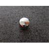 AQUASTAR Couronne in Acciaio AQUASTAR Authentic Ø 6,3 mm Spessore 3,6 mm Tubo 2,5