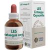 FORZA VITALE ITALIA Srl FV.LES CRATAEGUS OXYAC 50ML MG