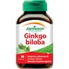 BIOVITA Srl Jamieson Ginkgo Biloba 90 Compresse