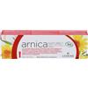 LEHNING LABORATOIRES Arnica Naturel Gel, Gel per Urti e Contusioni, 50 g - Senza Parabeni, Conservanti e Profumi