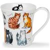 Dunoon Jura - Tazza in porcellana fine, motivo: gatti disordinati, 0,21 l
