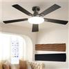 Passky Ventilatore da soffitto da 132 cm con illuminazione e telecomando, motore DC silenzioso, 5 pale, 6 velocità, 3 temperature di colore, timer, nero