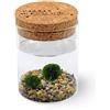 KAKI La Felicità è Nelle Piccole Cose La Felicità è Nelle Piccole Cose Marimo Coppia originale vaso vetro con tappo sughero l'Amore, artigianale, fondale naturale, diametro 8cm, altezza 11cm, Made in Italy