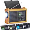 ROCAM Radio DAB+/FM con Bluetooth, Radio a Manovella 12000mAh con Pannello Solare 8500mm² e Dinamo 650mA, Radio Digitale Portatile con Display a Colori 2,4, 80 Stazioni, SOS, Torcia LED, USB, IPX6