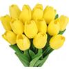 Gkaopi 15 Pezzi Tulipani Artificiali,Realistici Tulipani in Lattice,Finti Tulipanis Mazzo di Fiori Realistici per DIY Matrimoni Mazzi Nuziale Festa Casa Stanza Decorazioni