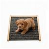 MiDube Rampa per cani in legno per scale ad angolo basso con superficie antiscivolo scale e gradini per cani e gatti di piccola taglia