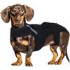 Hjyokuso Tutore per la schiena per cani, taglia XS, gilet di supporto per colonna vertebrale regolabile per IVDD, disco scivolato, ernia del disco, artrite, recupero post chirurgico, sollievo dal