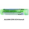 Boiron Allium Cepa 5ch 80gr 4g