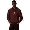 Calvin Klein LS EU 350TERRY Graphic Hoodie LV04RE255G Felpe, Bianco (Bianco Greige), XXL_Plus, Bianco (Bianco Greige), XXL Plus