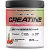 Cellucor COR-Performance Creatine 203 grams - Watermelon
