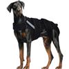 Hjyokuso Tutore per la schiena per cani, 2XL, supporto per la schiena per cani di taglia grande con IVDD, colonna vertebrale debole, recupero chirurgico, imbracatura di supporto forte, morbida e