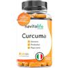 navitalife SUPPLEMENTS Curcuma Zenzero Pepe Nero + Probiotici | Curcuma 1360 mg - 120 Capsule per 4 Mesi | Alta Concentrazione Curcumina 95% ad Alta Biodisponibilità | Supporto Naturale per Dolori Muscolari e Infiammazione