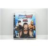 THQ SmackDown Vs Raw 2008 [Edizione: Regno Unito]